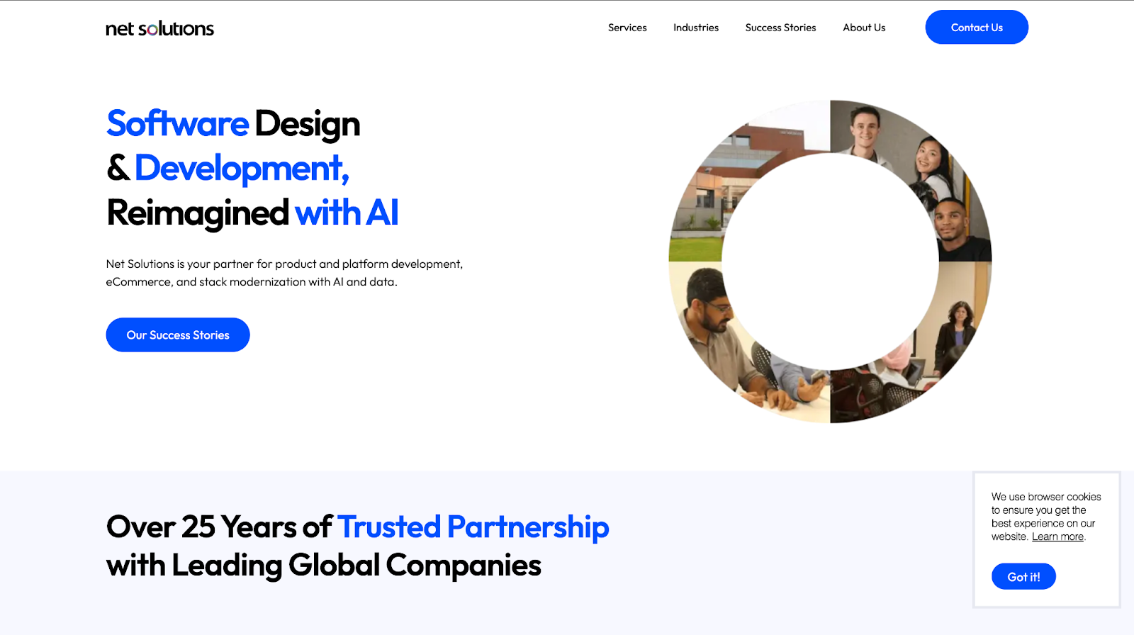 Net Solutions website